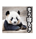 高知・土佐弁☆パンダ（個別スタンプ：40）