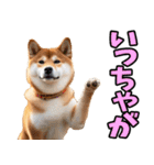 宮崎弁☆柴犬（個別スタンプ：5）