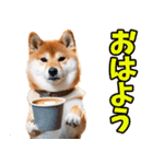 宮崎弁☆柴犬（個別スタンプ：8）