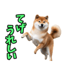 宮崎弁☆柴犬（個別スタンプ：9）