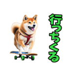 宮崎弁☆柴犬（個別スタンプ：22）
