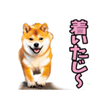 宮崎弁☆柴犬（個別スタンプ：24）