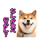 宮崎弁☆柴犬（個別スタンプ：29）