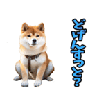 宮崎弁☆柴犬（個別スタンプ：32）