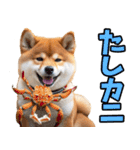 宮崎弁☆柴犬（個別スタンプ：36）