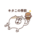 すんとしたねこ 秋（個別スタンプ：1）