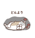 すんとしたねこ 秋（個別スタンプ：8）