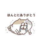 すんとしたねこ 秋（個別スタンプ：38）