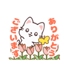 動くネコ☆毎日のご挨拶（個別スタンプ：1）