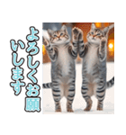 飛び出す★冬を感じるアメショー_挨拶（個別スタンプ：5）