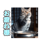 飛び出す★冬を感じるアメショー_挨拶（個別スタンプ：6）