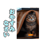 飛び出す★冬を感じるアメショー_挨拶（個別スタンプ：8）