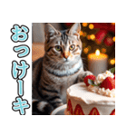 飛び出す★冬を感じるアメショー_挨拶（個別スタンプ：10）