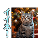 飛び出す★冬を感じるアメショー_挨拶（個別スタンプ：12）