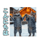 飛び出す★冬を感じるアメショー_挨拶（個別スタンプ：13）