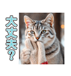 飛び出す★冬を感じるアメショー_挨拶（個別スタンプ：15）