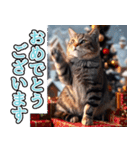 飛び出す★冬を感じるアメショー_挨拶（個別スタンプ：16）