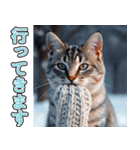 飛び出す★冬を感じるアメショー_挨拶（個別スタンプ：20）