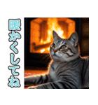 飛び出す★冬を感じるアメショー_挨拶（個別スタンプ：21）