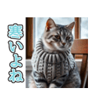 飛び出す★冬を感じるアメショー_挨拶（個別スタンプ：22）