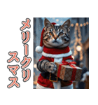 飛び出す★冬を感じるアメショー_挨拶（個別スタンプ：23）