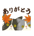 ハチワレコンビのほっこり秋冬便（個別スタンプ：1）