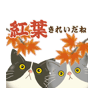 ハチワレコンビのほっこり秋冬便（個別スタンプ：5）