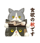 ハチワレコンビのほっこり秋冬便（個別スタンプ：6）