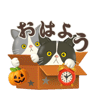ハチワレコンビのほっこり秋冬便（個別スタンプ：9）