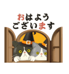 ハチワレコンビのほっこり秋冬便（個別スタンプ：10）