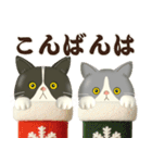 ハチワレコンビのほっこり秋冬便（個別スタンプ：11）