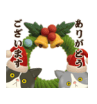 ハチワレコンビのほっこり秋冬便（個別スタンプ：12）