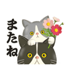 ハチワレコンビのほっこり秋冬便（個別スタンプ：24）