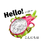 南国のドラゴンフルーツ 【英語】（個別スタンプ：1）