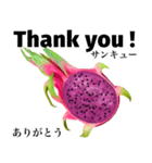 南国のドラゴンフルーツ 【英語】（個別スタンプ：2）