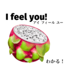 南国のドラゴンフルーツ 【英語】（個別スタンプ：3）