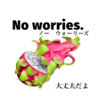 南国のドラゴンフルーツ 【英語】（個別スタンプ：5）