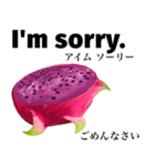 南国のドラゴンフルーツ 【英語】（個別スタンプ：6）