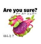 南国のドラゴンフルーツ 【英語】（個別スタンプ：8）