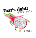 南国のドラゴンフルーツ 【英語】（個別スタンプ：13）