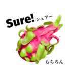 南国のドラゴンフルーツ 【英語】（個別スタンプ：15）