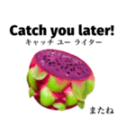 南国のドラゴンフルーツ 【英語】（個別スタンプ：16）