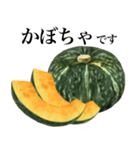 国産かぼちゃ（個別スタンプ：1）