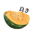 国産かぼちゃ（個別スタンプ：2）