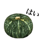 国産かぼちゃ（個別スタンプ：4）
