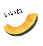 国産かぼちゃ（個別スタンプ：5）