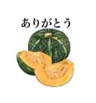 国産かぼちゃ（個別スタンプ：6）