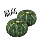 国産かぼちゃ（個別スタンプ：10）