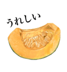 国産かぼちゃ（個別スタンプ：14）