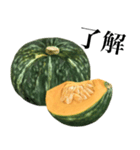 国産かぼちゃ（個別スタンプ：15）